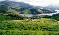 Munnar